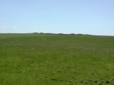 Priddy Nine Barrows