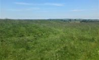 Click for full size image of Priddy Nine Barrows (PID:243892) Priddy Nine Barrows