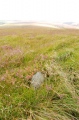 Click for full size image of Withypool Circle (PID:41791) Withypool Circle