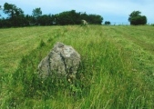 Deerleap Stones