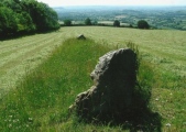Click for full size image of Deerleap Stones (PID:110572) Deerleap Stones