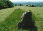 Deerleap Stones