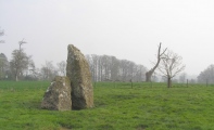 Orchardleigh Stones