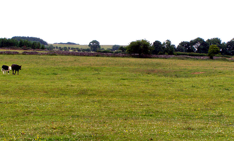 Drove Cottage Henge