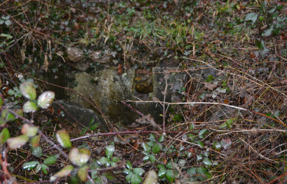 The well trough towards the bottom of the slope.  It's barely visible through the brambles, although once spotted, the hole where the water pipe used to come through can be seen. 