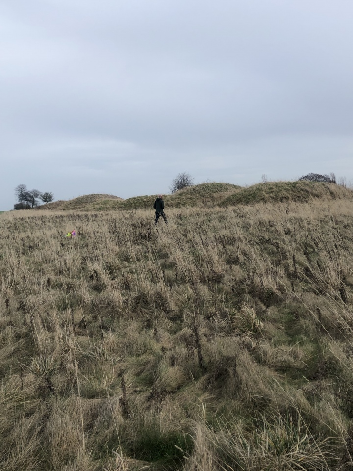 Click for full size image of Bully Hills (PID:236365) Bully Hills