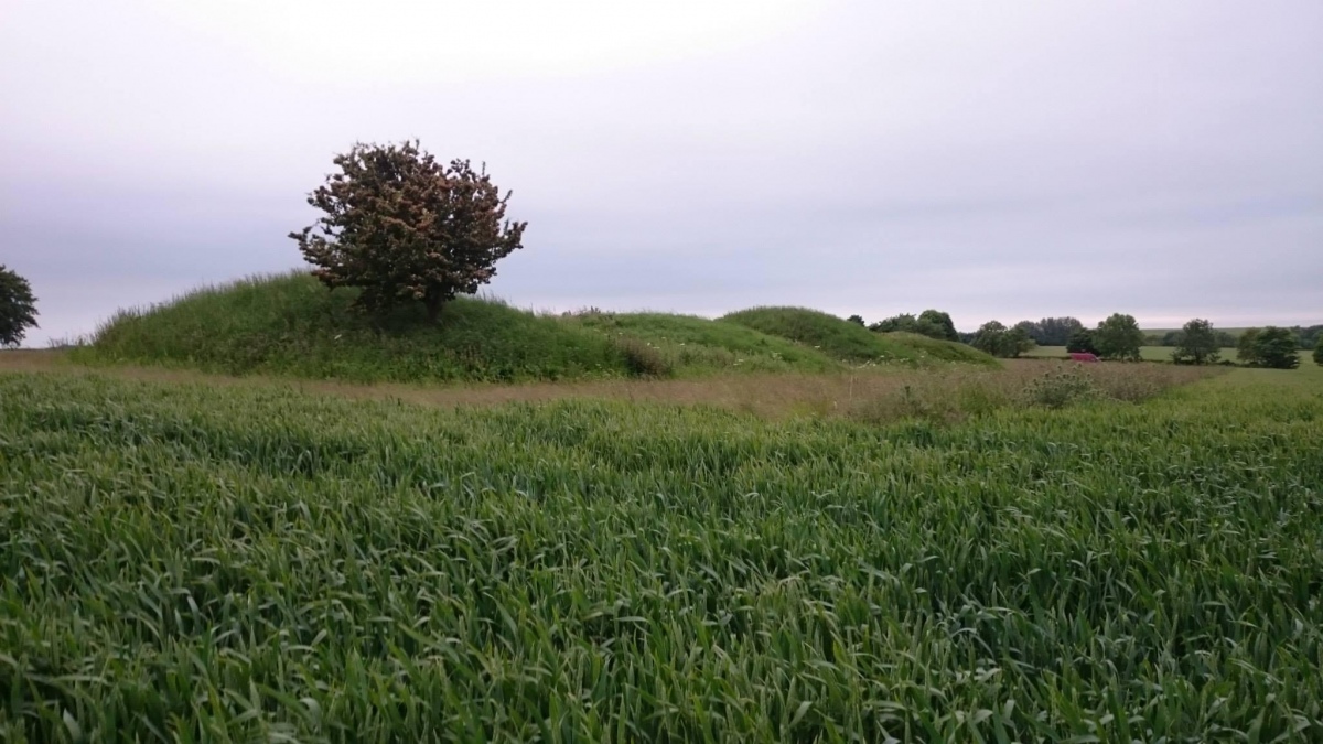 Click for full size image of Bully Hills (PID:230783) Bully Hills