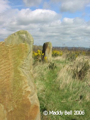 Darnall Common