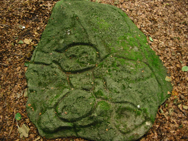 Ecclesall Woods (PID:3555) Ecclesall Woods
