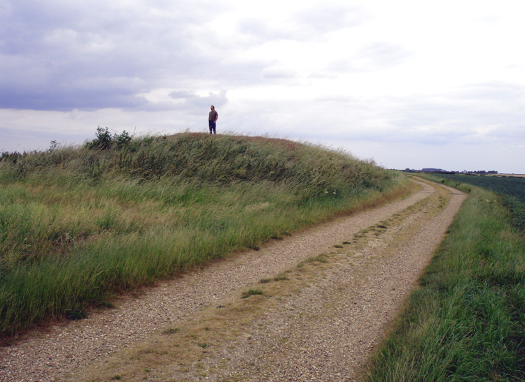 Grims Mound (PID:22088) Grims Mound
