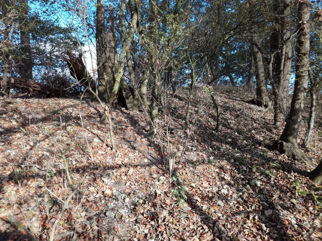 Click for full size image of Hoe Hill Long Barrow (PID:187535) Hoe Hill Long Barrow