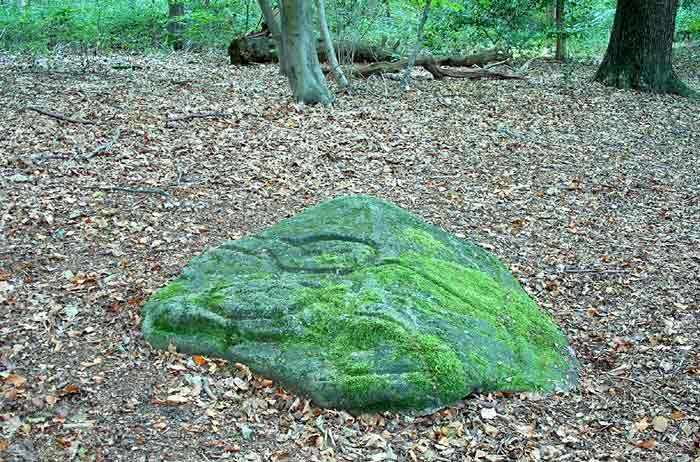 Ecclesall Woods