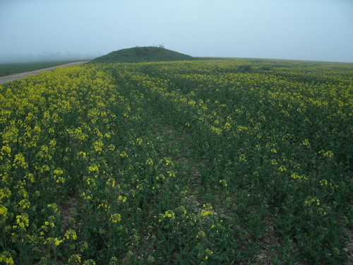 Click for full size image of Grims Mound (PID:98433) Grims Mound