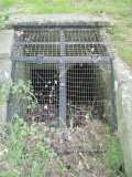 Ashwell - PID:72282