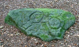 Ecclesall Woods - PID:9154