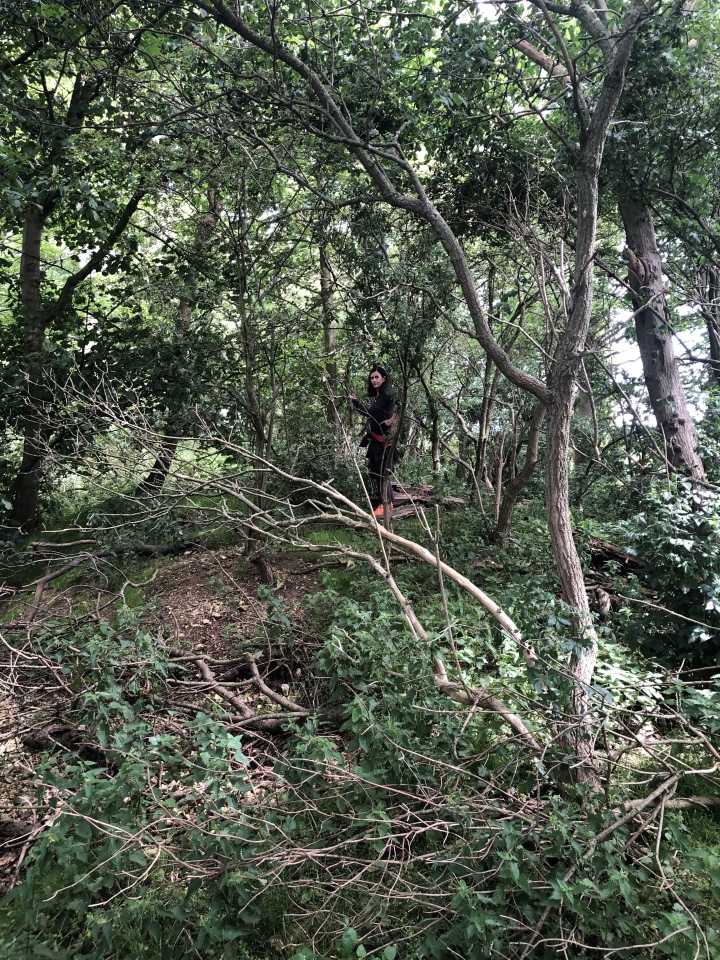 Click for full size image of Hoe Hill Long Barrow (PID:212945) Hoe Hill Long Barrow
