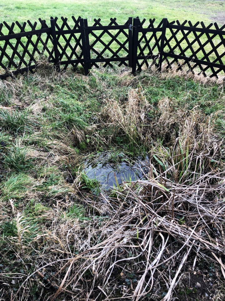 Click for full size image of St. Mary's Well (Thelnetham) (PID:237244) St. Mary's Well (Thelnetham)