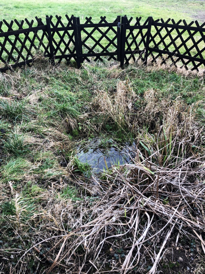 St. Mary's Well (Thelnetham)