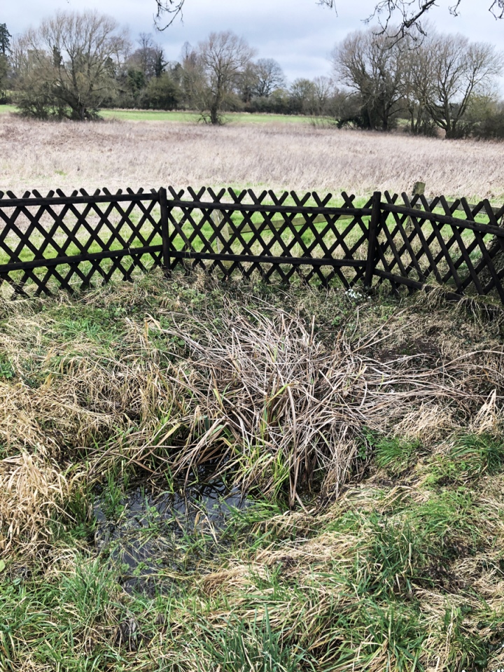 Click for full size image of St. Mary's Well (Thelnetham) (PID:237242) St. Mary's Well (Thelnetham)