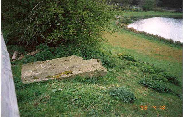 Albury Fishponds The Albury Stone in 1998 - the only result of a meticulous search for the missing megaliths described in the pamphlet,