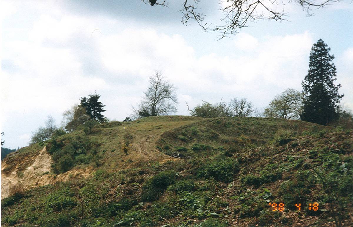 Weston Wood Platform Mound
