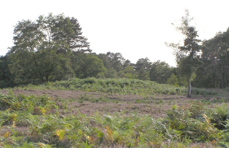 Bowl barrow west of Cockcrow Hill