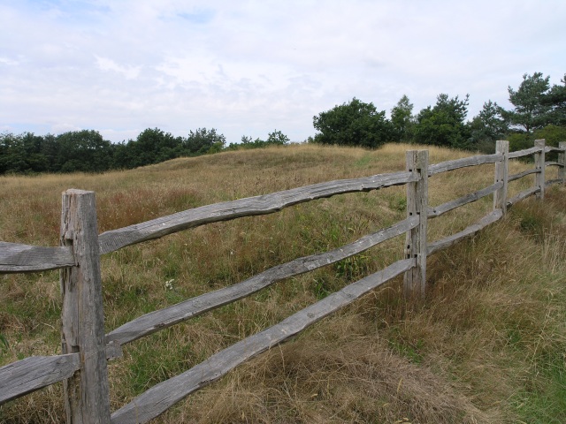 Godstone Tumulus (PID:55176) Godstone Tumulus