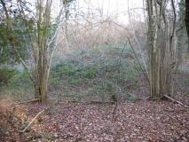 Box Hill Bowl Barrow 2 - PID:86203