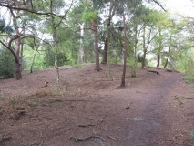 Reigate Heath Barrows - PID:88946