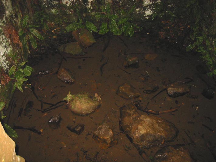 Holy Well (Burton Dassett)