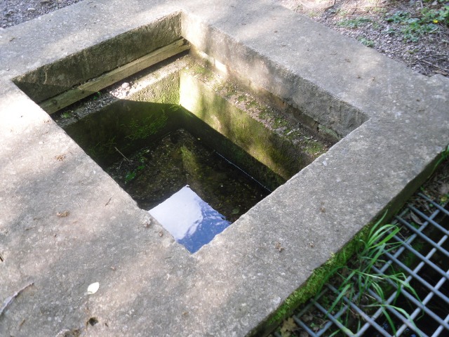 Click for full size image of St Augustine's Well (Sandwell) (PID:72086) St Augustine's Well (Sandwell)