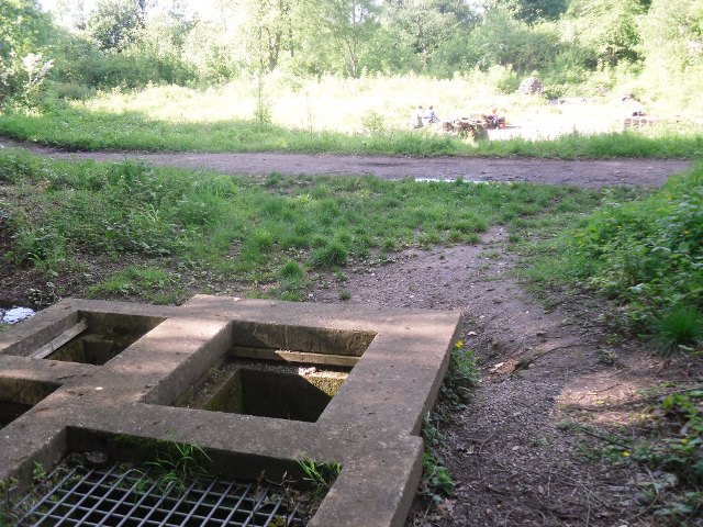 Click for full size image of St Augustine's Well (Sandwell) (PID:72085) St Augustine's Well (Sandwell)