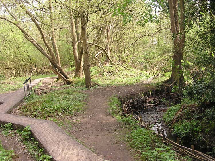 Moseley Bog Burnt Mound