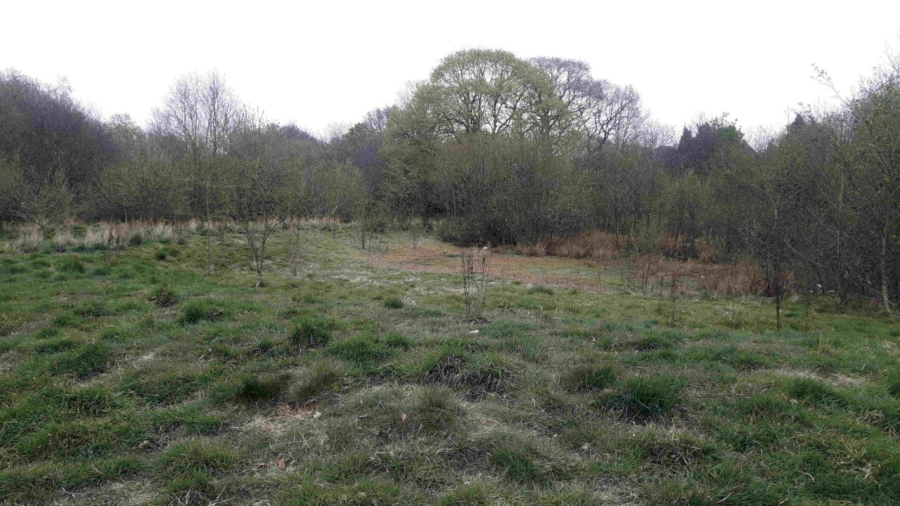 Moseley Bog Burnt Mound