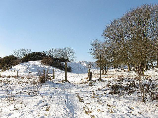 Click for full size image of Wolstonbury (PID:82535) Wolstonbury