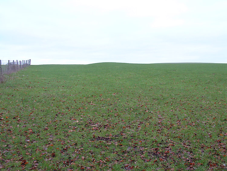 Barkhale (PID:27285) Barkhale