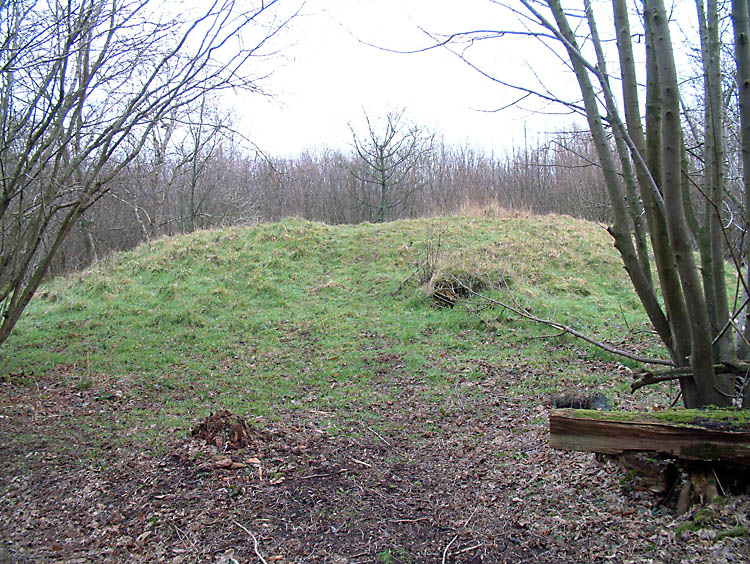 Click for full size image of Barkhale Tumulus (PID:27329) Barkhale Tumulus