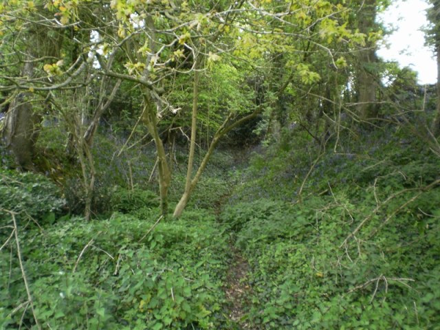 Devils Ditch (PID:65289) Devils Ditch