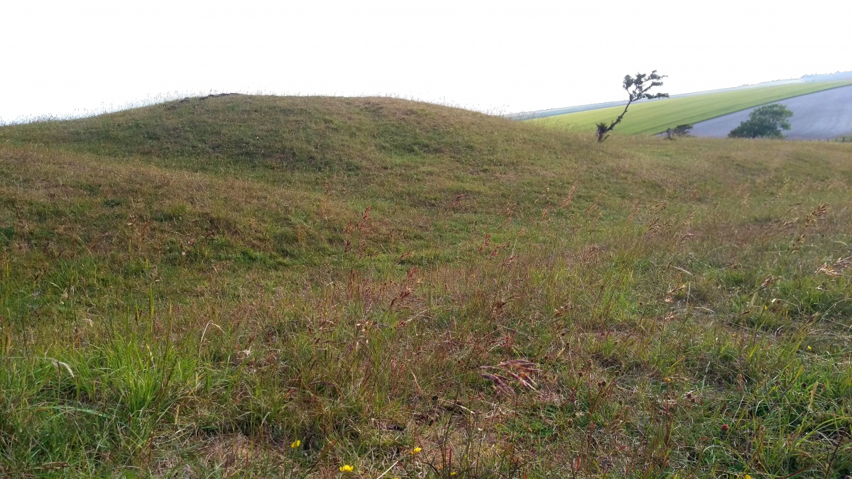 Fulking Hill Tumulus 1