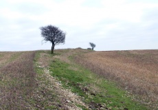 Harting Beacon - PID:27170