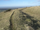Click for full size image of Wolstonbury (PID:82529) Wolstonbury