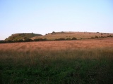 Click for full size image of Wolstonbury (PID:82533) Wolstonbury