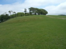 Chanctonbury Ring - PID:74716