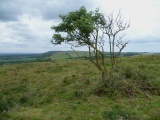 Click for full size image of Wolstonbury (PID:82527) Wolstonbury