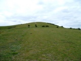 Click for full size image of Wolstonbury (PID:82528) Wolstonbury