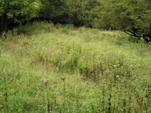 Goosehill Camp - PID:103425