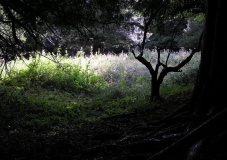 Goosehill Camp - PID:103430