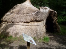 Ashdown Forest Centre - PID:81699