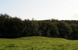 Stoughton Long Barrows - PID:103274