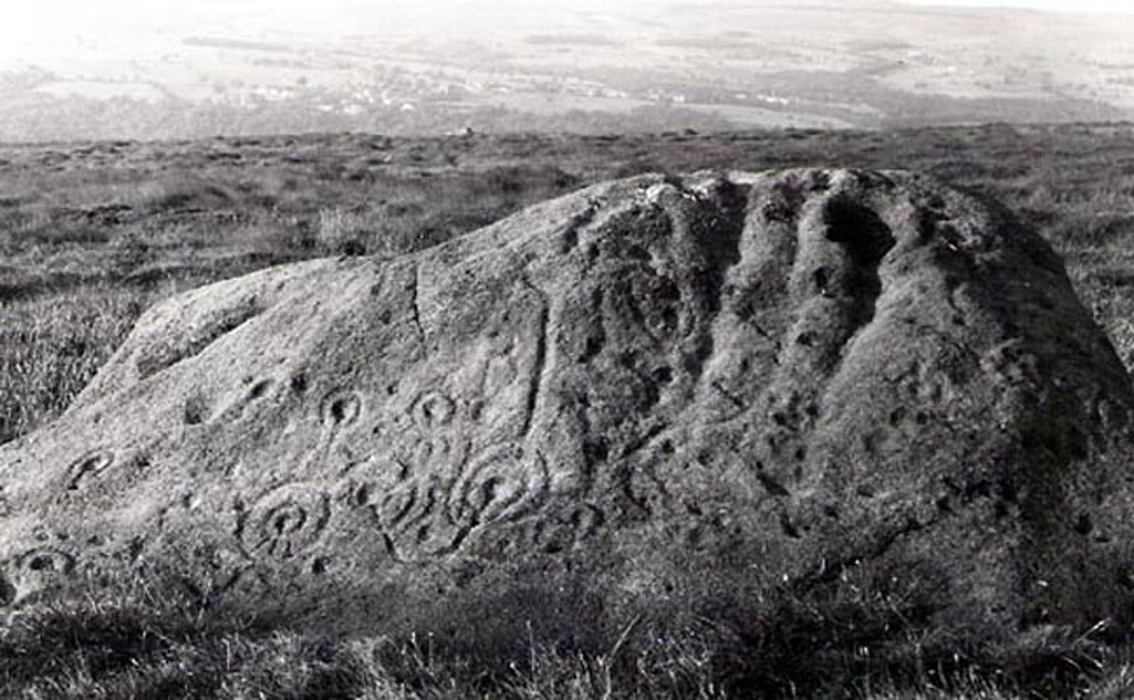 Click for full size image of Badger Stone (PID:3941) Badger Stone